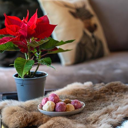 Livadi Cozy Villa Arachova Ngoại thất bức ảnh