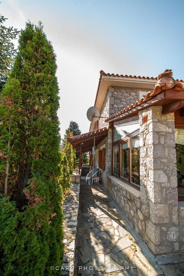 Livadi Cozy Villa Arachova Ngoại thất bức ảnh