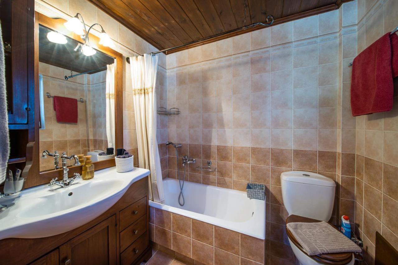 Livadi Cozy Villa Arachova Ngoại thất bức ảnh