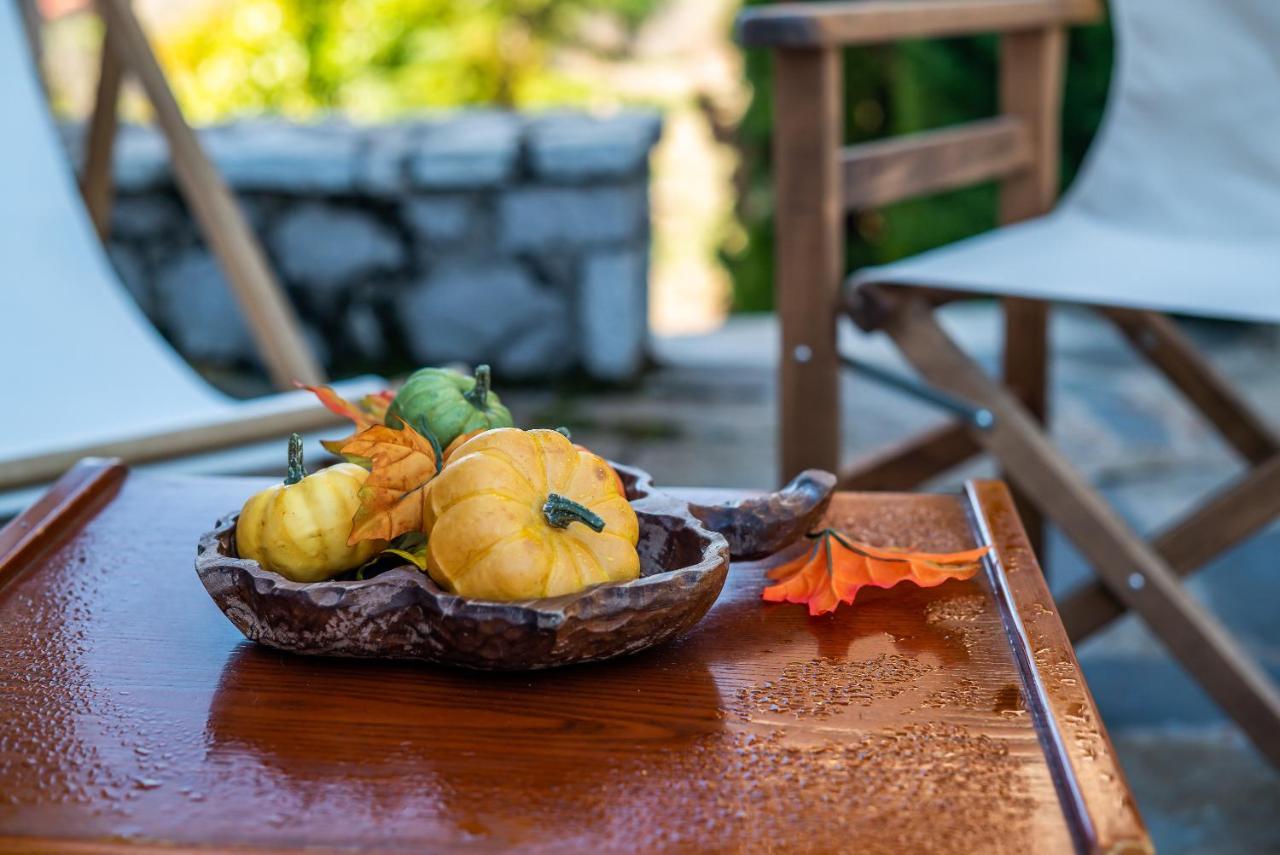 Livadi Cozy Villa Arachova Ngoại thất bức ảnh