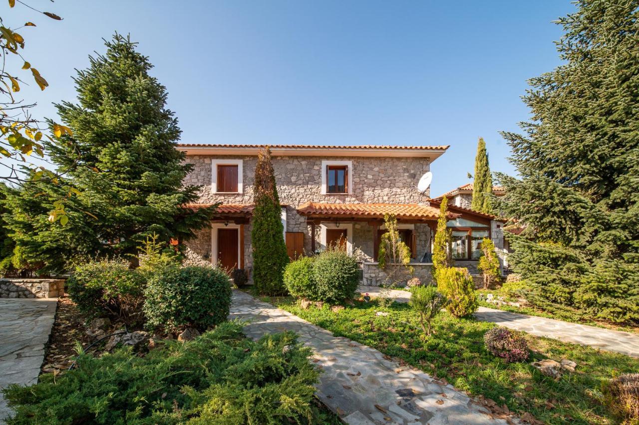 Livadi Cozy Villa Arachova Ngoại thất bức ảnh
