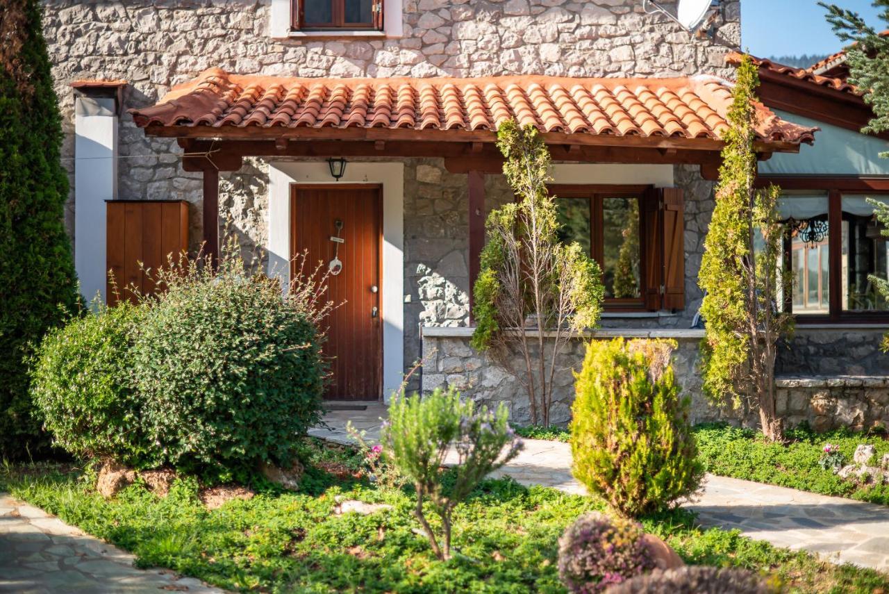 Livadi Cozy Villa Arachova Ngoại thất bức ảnh