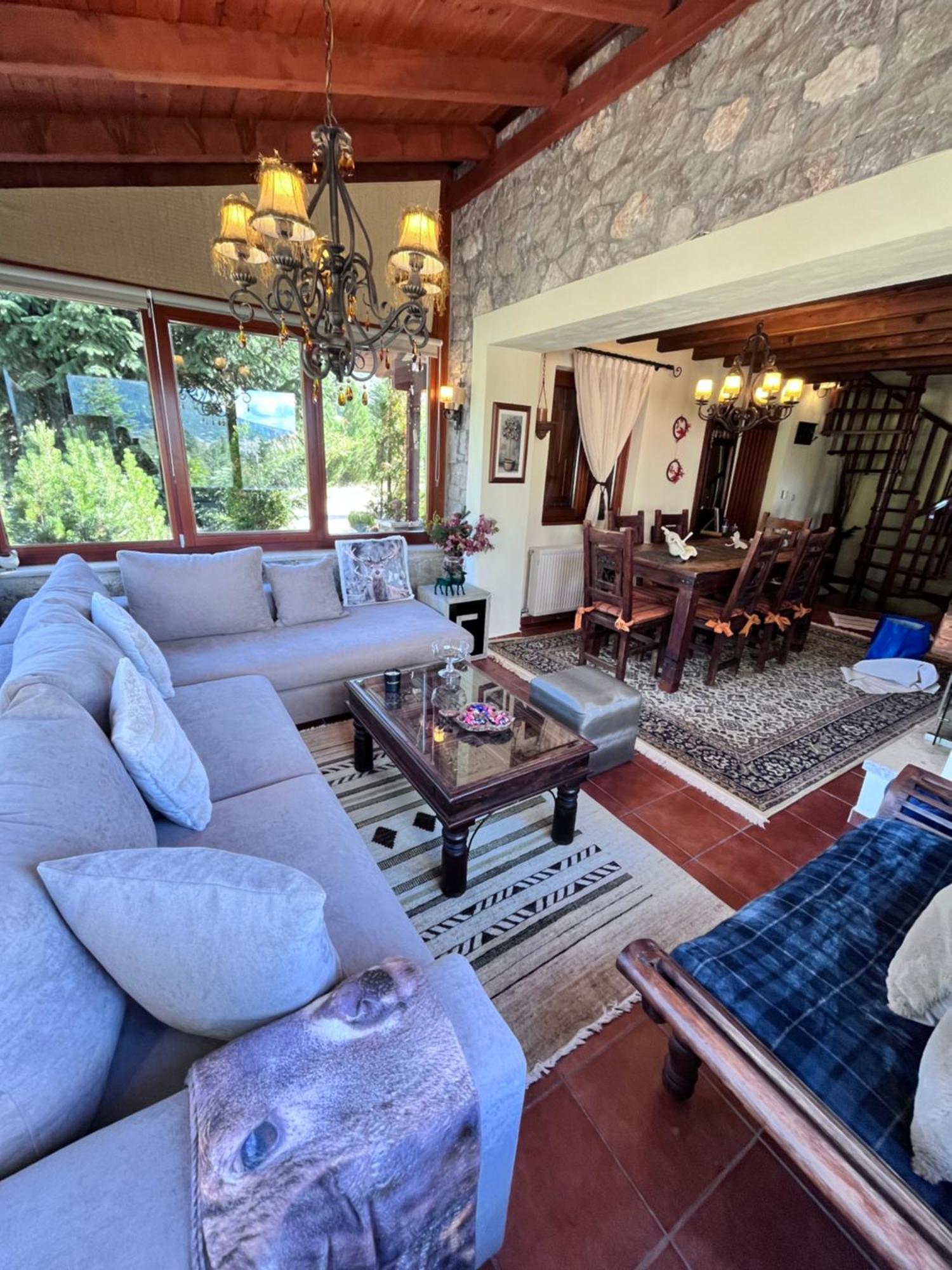 Livadi Cozy Villa Arachova Ngoại thất bức ảnh